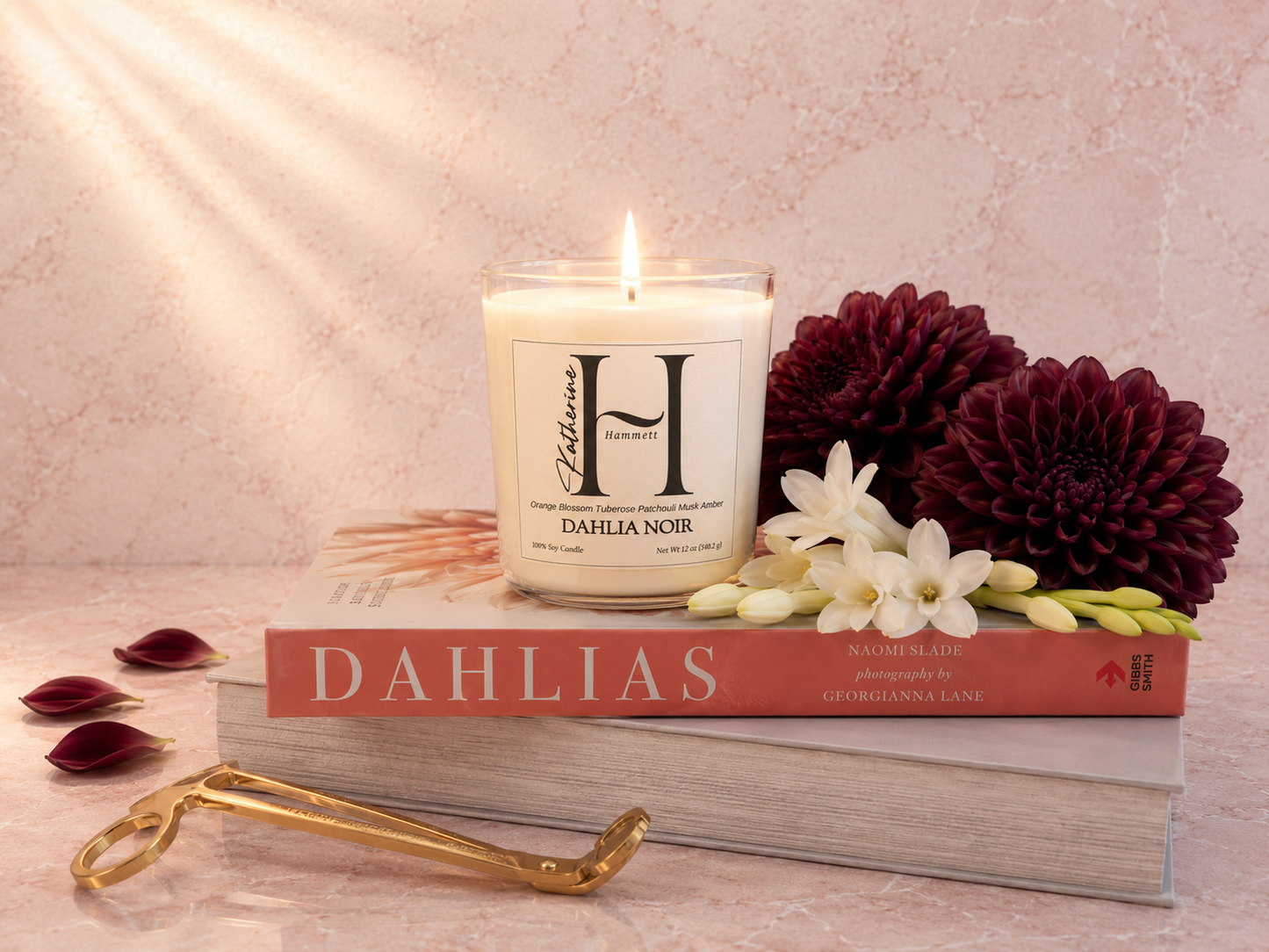 Dahlia Noir